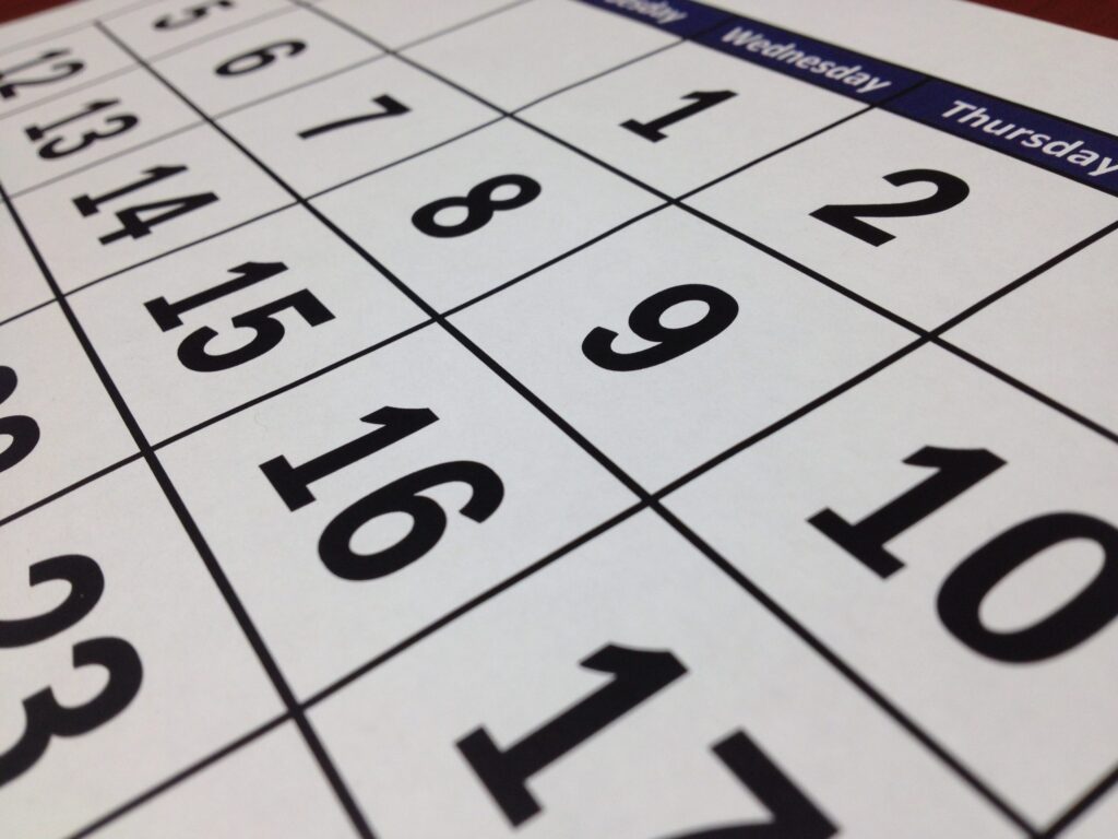 The year ahead