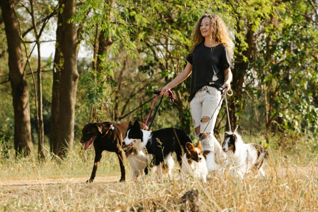 Working with Animals
